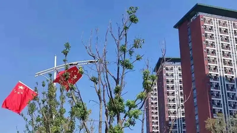 中山大学｜中国进步“最大”的六所大学之一