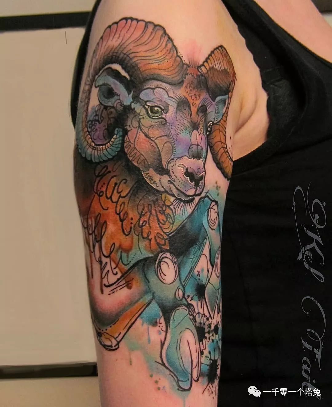 属羊纹身纹什么好_达一风水网