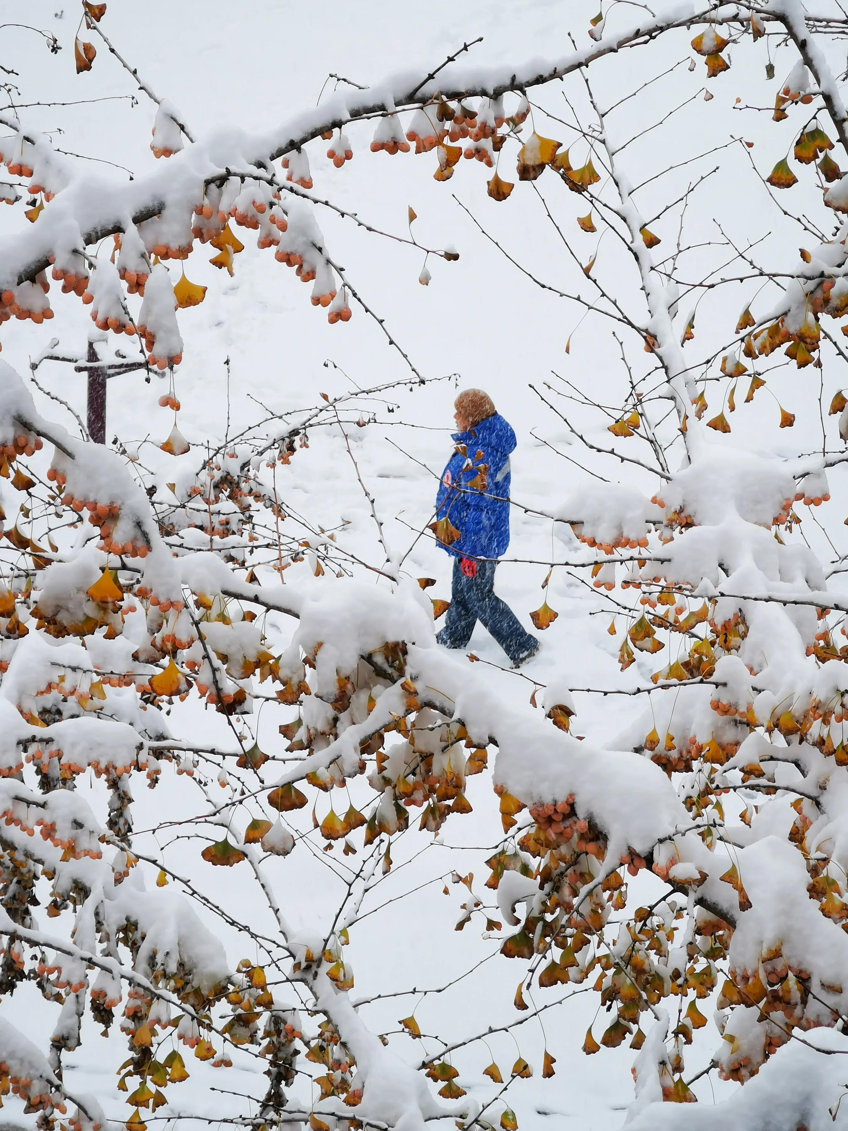 手拍世界（手机摄影平台）-群员作品集（总第733期）