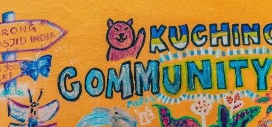 哪个城市养猫的人多