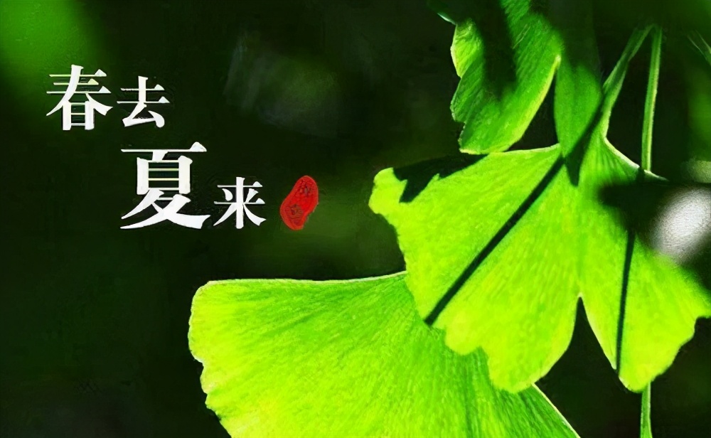 唐诗赏读·齐安郡后池绝句