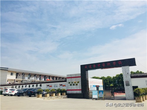 武汉市艺术学校（升学指南）