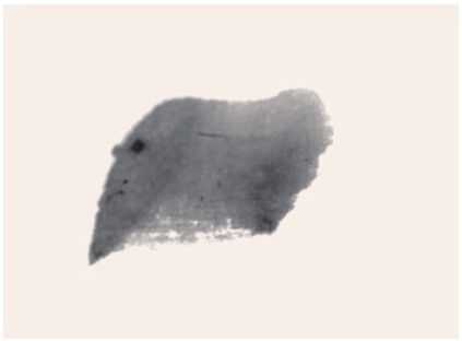 国画知识：常见的五种叶子画法步骤图解，简单易学，小白也能学会