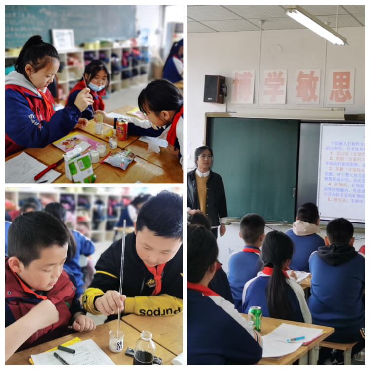 坊子区三马路小学：以研促教，砥砺前行(图6)