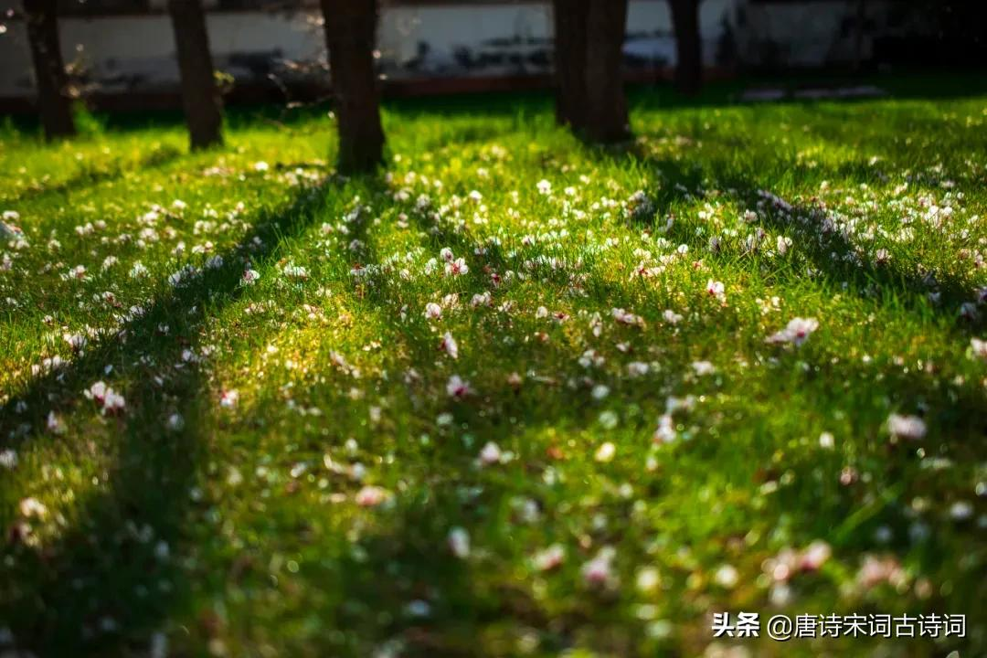 那纷纷飘落的秋日花叶