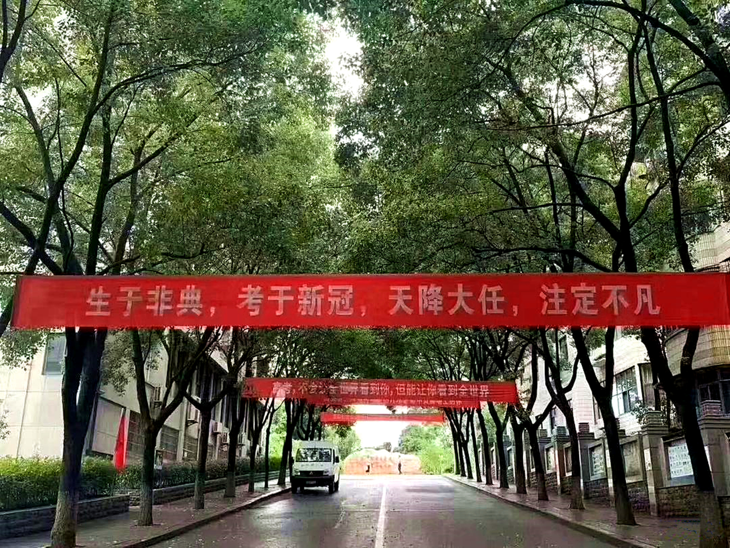 新高考后，祝福生如夏花的你