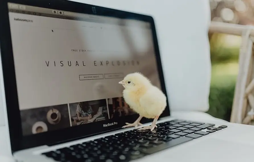 电脑故障英文提示（电脑开机出现英文故障怎么处理）