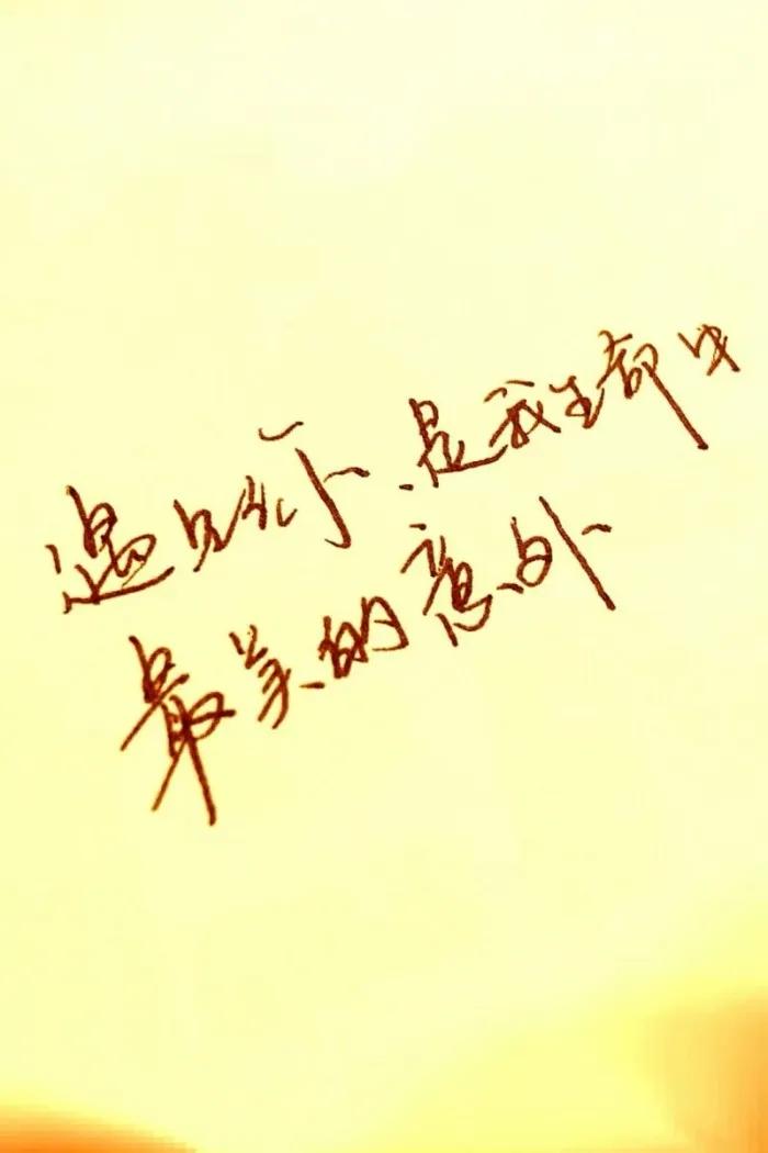 遇见你,是我生命中最美的意外