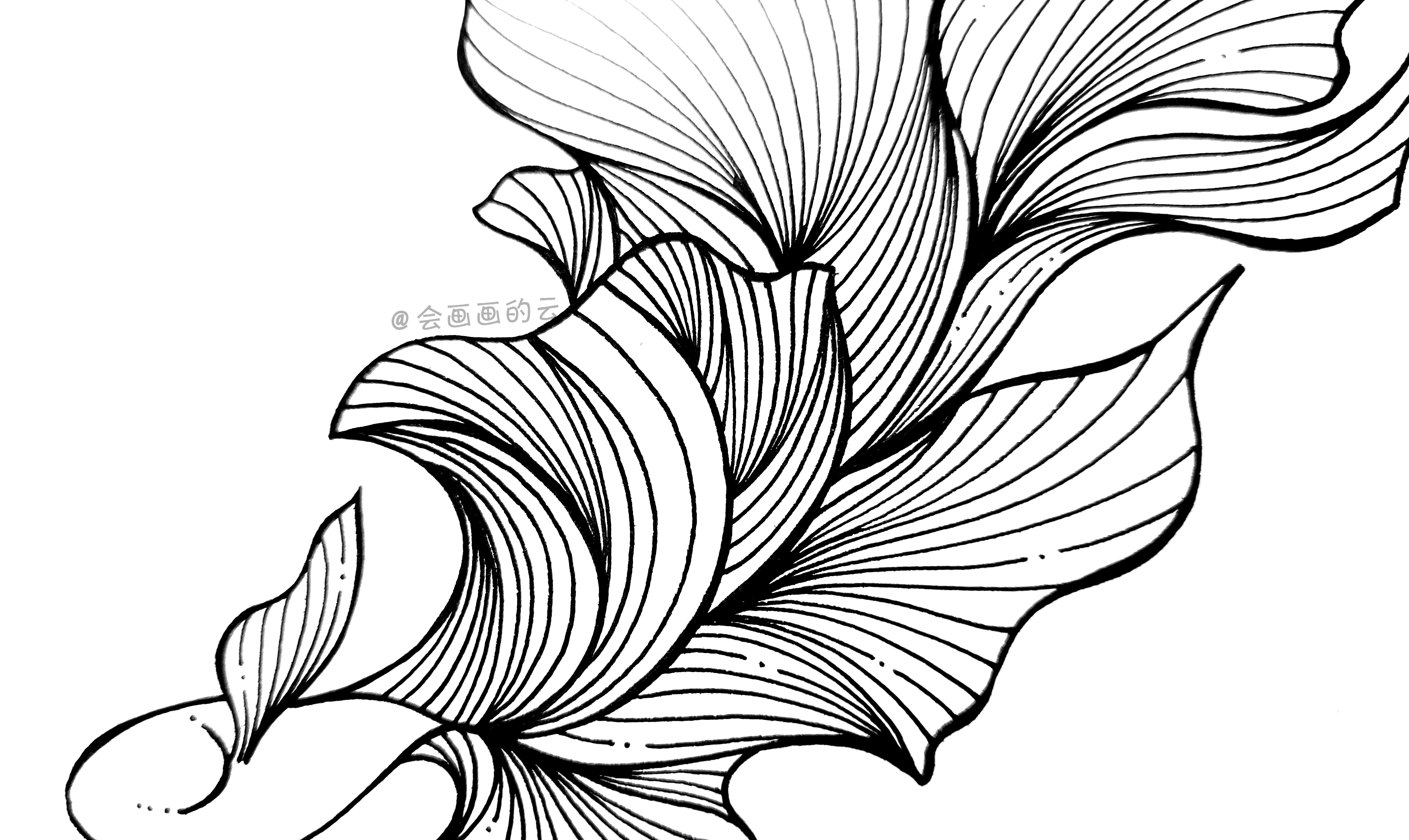 新手福利,零基础就可以画的简笔画,6步教你画一条小金鱼