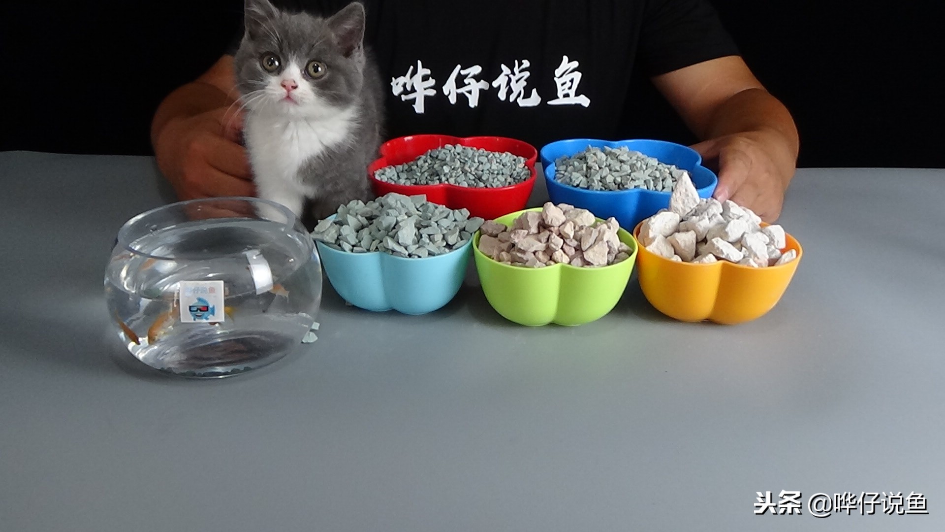 鱼缸硝化细菌十大名牌及三大天敌详解