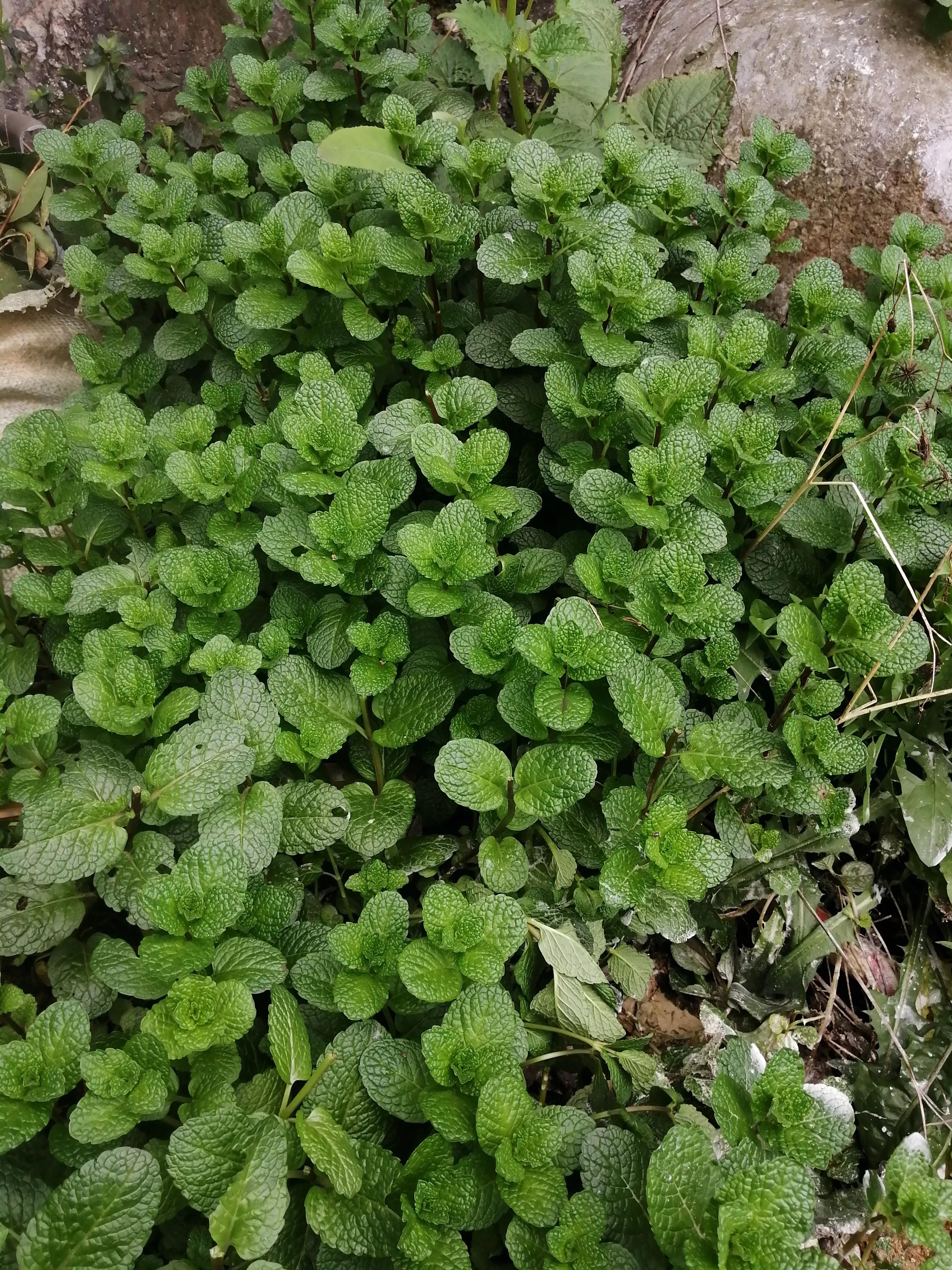 4个步骤告诉你怎样开始写作