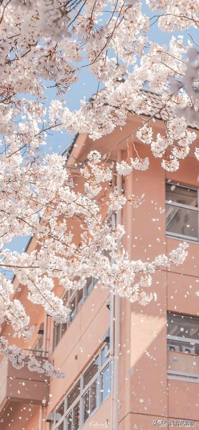 清凉夏日，经典好句等你摘抄