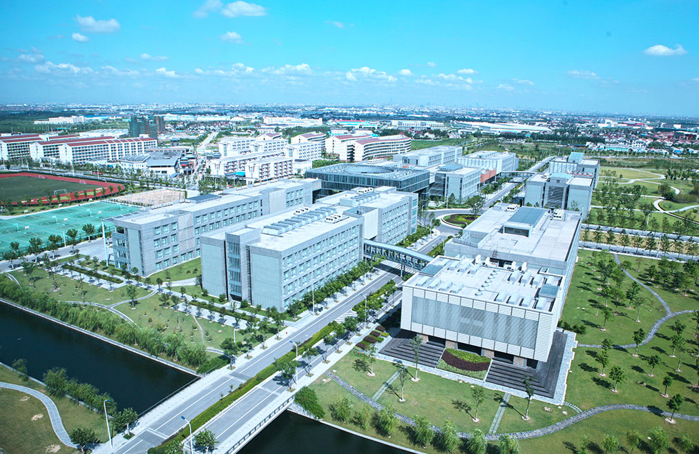 美术艺考生报考同济大学难吗？如果具备这3个方面的优势建议报考