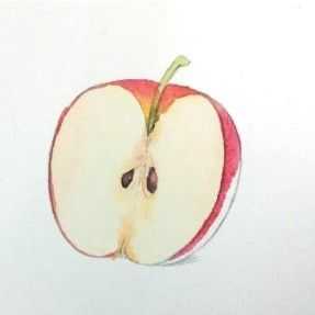 水彩画的基本教程：两组苹果水彩画法步骤，简单易学，一起来学习