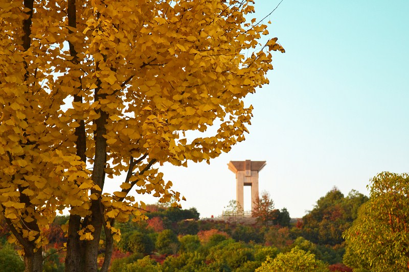 长沙理工大学高考录取：省内高校物理类排名第二、历史排名第三位