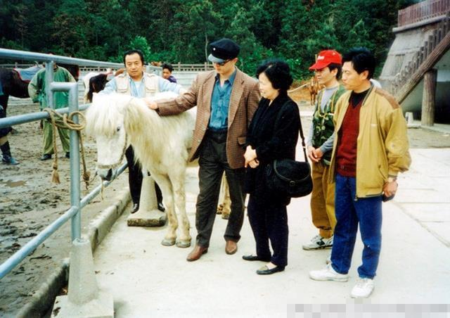 西游记白龙马怎么死的(1997年白龙马惨死山洞，杨洁泪崩，被吸血10年的背后暴露人性丑恶)