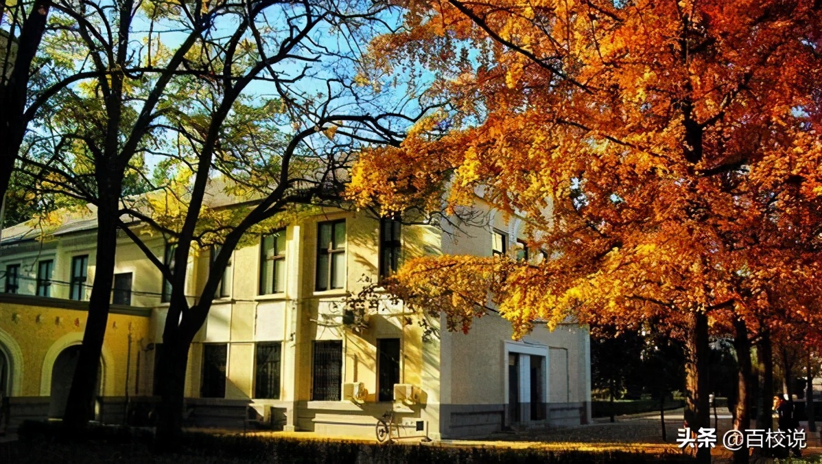 电子科技大学、北京科技大学最新排名已出，两所学校究竟谁强