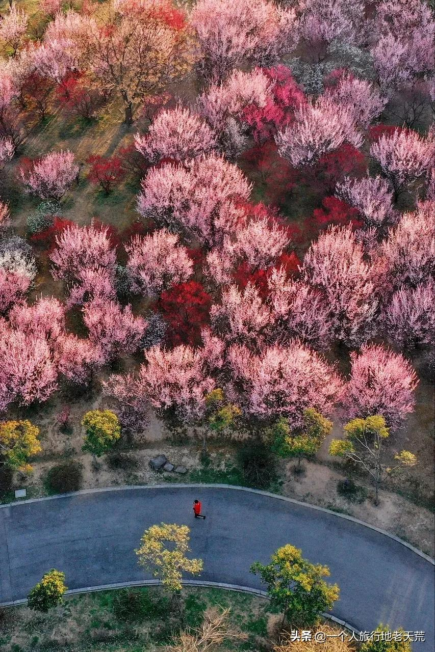 江南这么美,所以这个三月,春风十里不如下江南