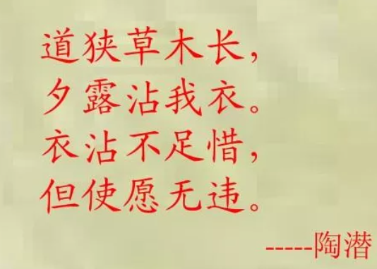 杨振宁先生数理工作漫谈：单位圆定理及其他