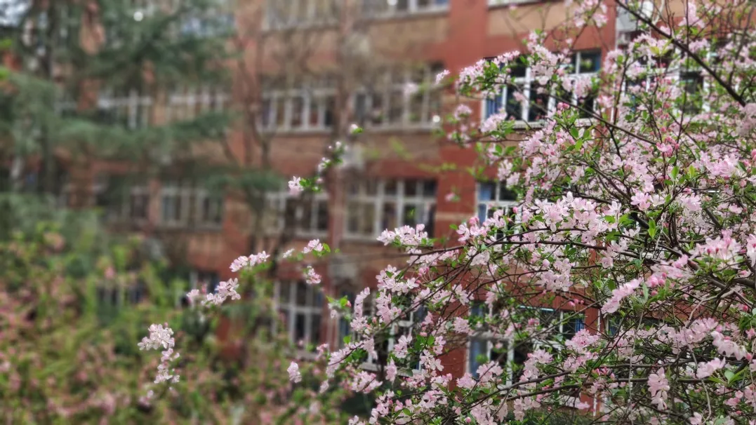 速来围观！三原外国语学校中学部&小学部2021年招生简章新鲜出炉