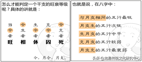 命理学中关于"地支循藏"的详细解析