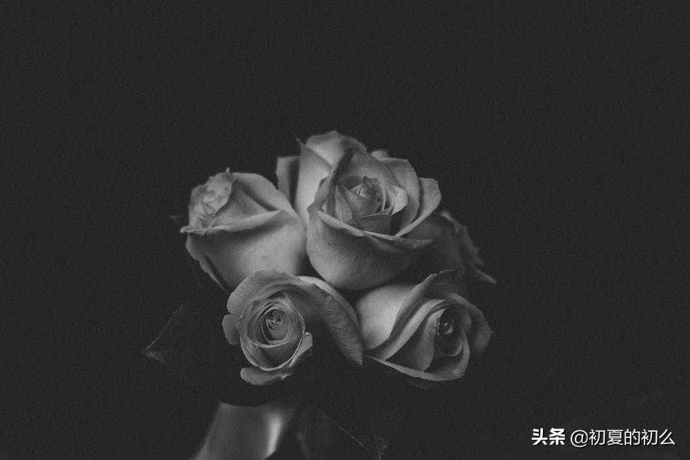 古风伤感句子 | 几段唏嘘、几世悲欢，可笑，我命由我不由天