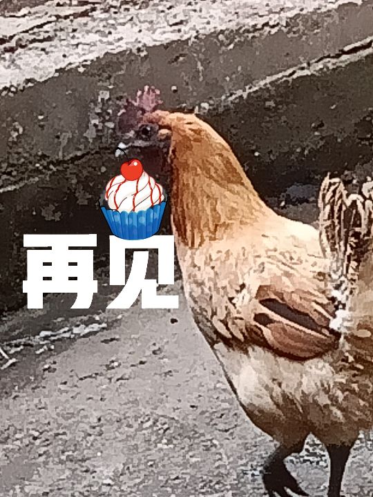 视频剪辑新手教程：轻松学会剪切视频的详细步骤
