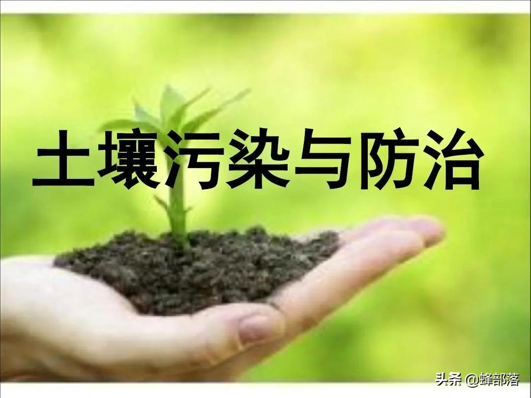 2021农村未来10大项目，蕴含万亿发展商机，抓住一项就有大发展