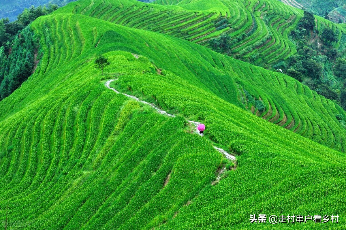 自驾游桂林，如何安排行程、线路？花最少的钱，游最多的景点