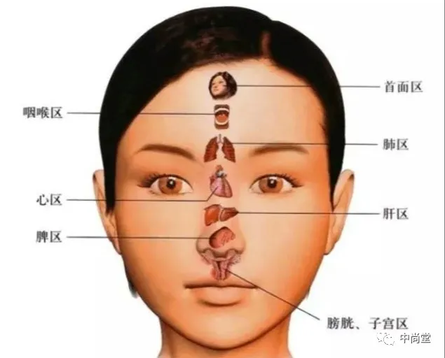 通过鼻子能看出这些健康问题？别不相信，医生：这是有依据的