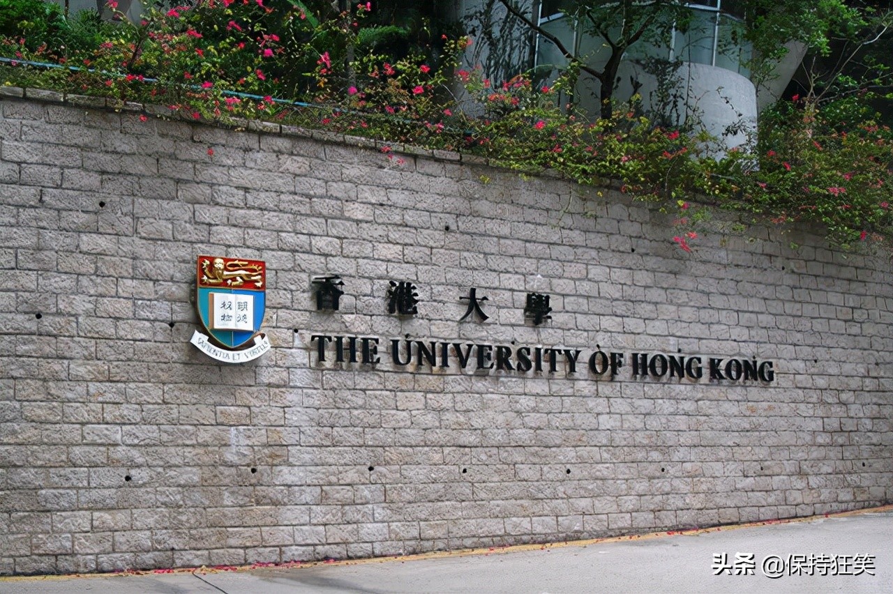 香港大学专业排名（2021香港十大名校排行榜）