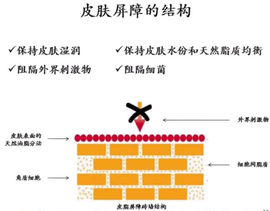 婴儿常见的特应性皮炎科普之二：典型症状和发病原因