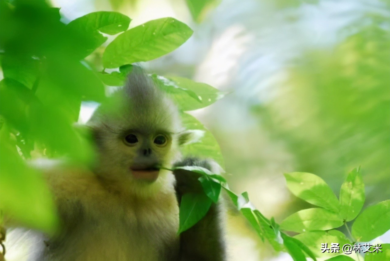 理想照耀中国：龙勇诚高考填错志愿，将错就错成就伟大事业，靠啥