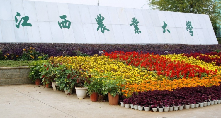 中国最大的10所大学，最高占地17000多亩，清华北大都比不上