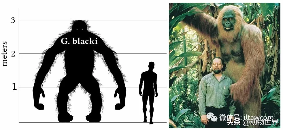 10种曾与人类同行的巨型野兽