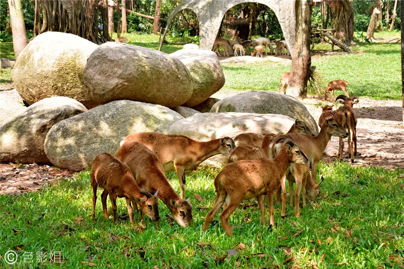 长隆欢乐世界旅游攻略景点必去（三天三夜欢乐长隆之旅）
