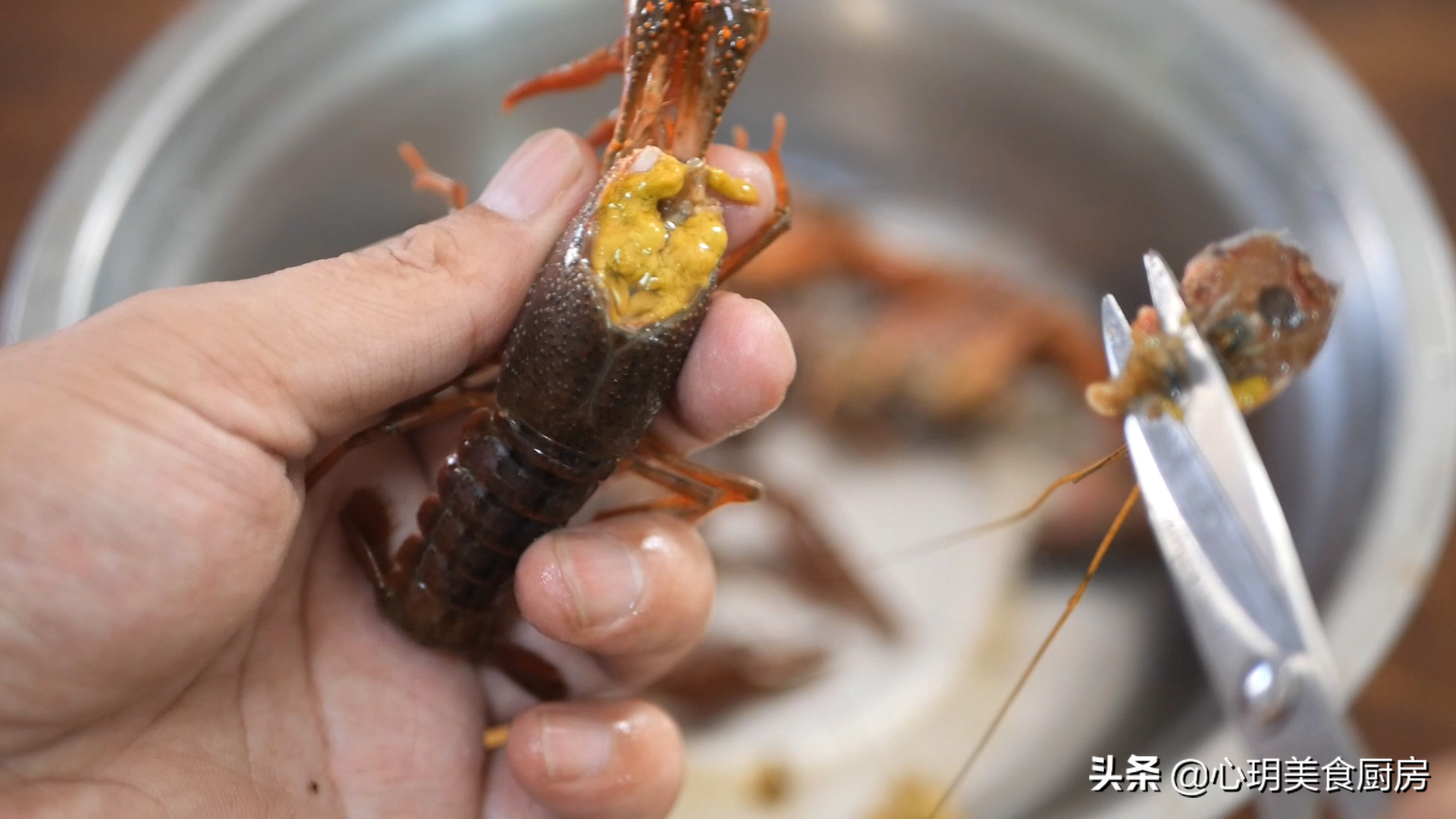 小龙虾的头能不能吃（小龙虾3个部位可能自带毒素）