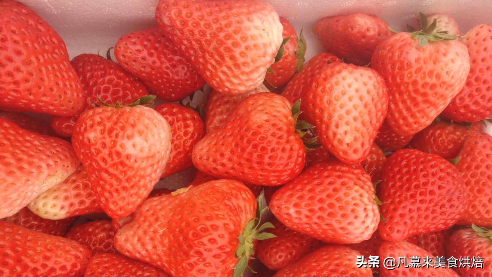 24种常见草莓品种，中国20大草莓产地？哪里的草莓最好吃？