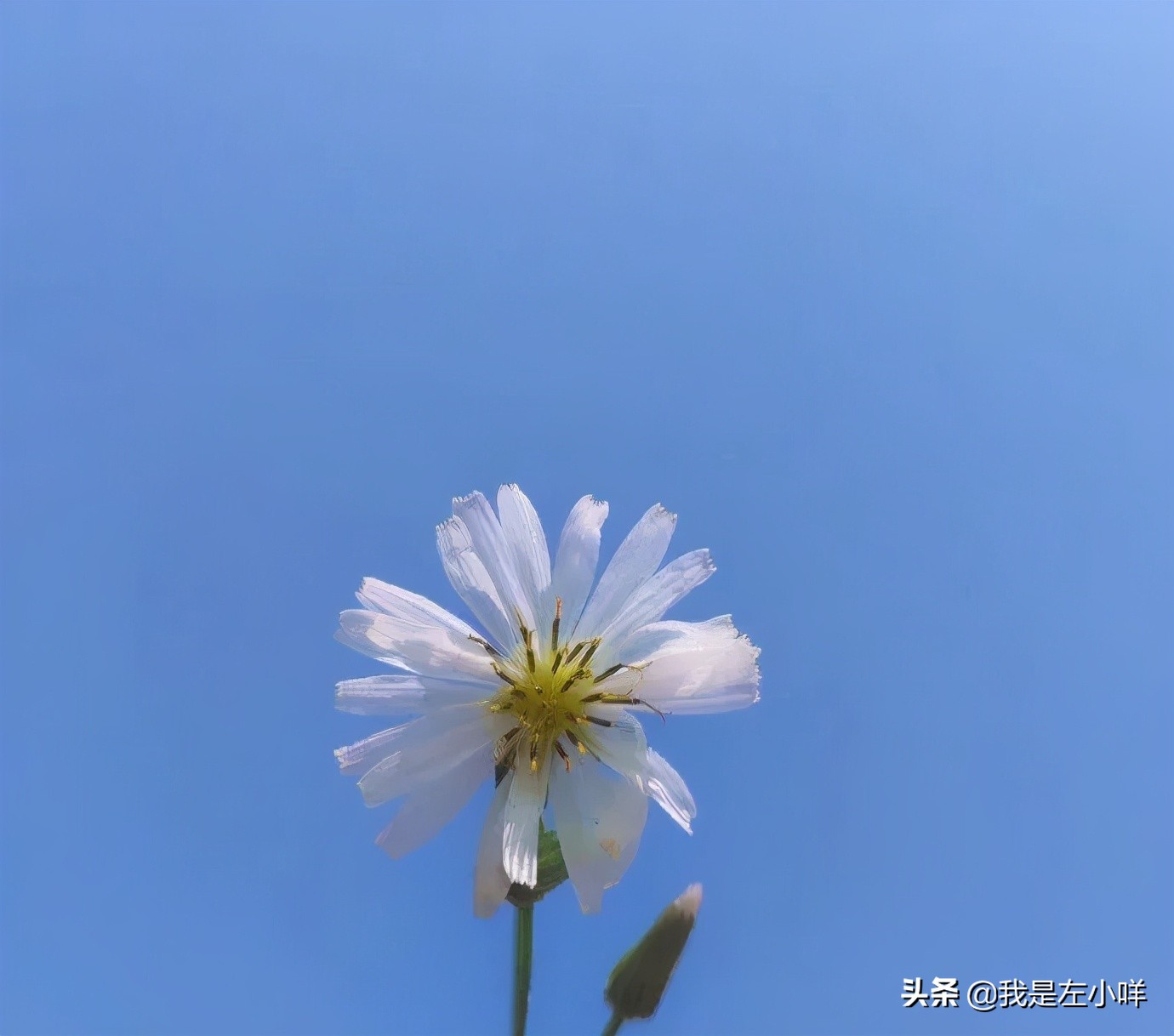 「陪我走下去的文案」第一期