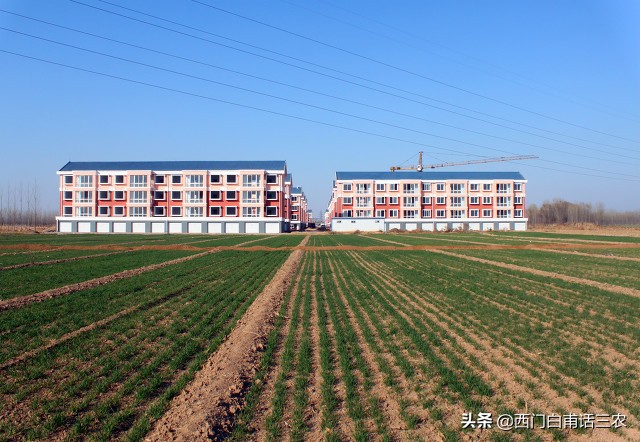 农民朋友注意：私自买卖承包地、在承包地上建房，后果有多严重？