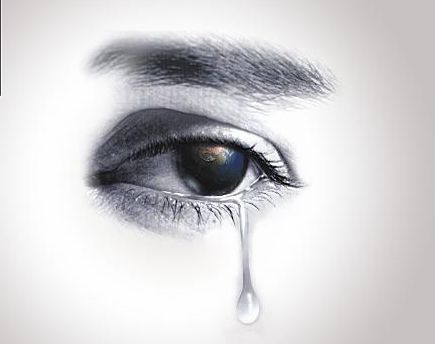 鱼儿的眼泪(小小说)