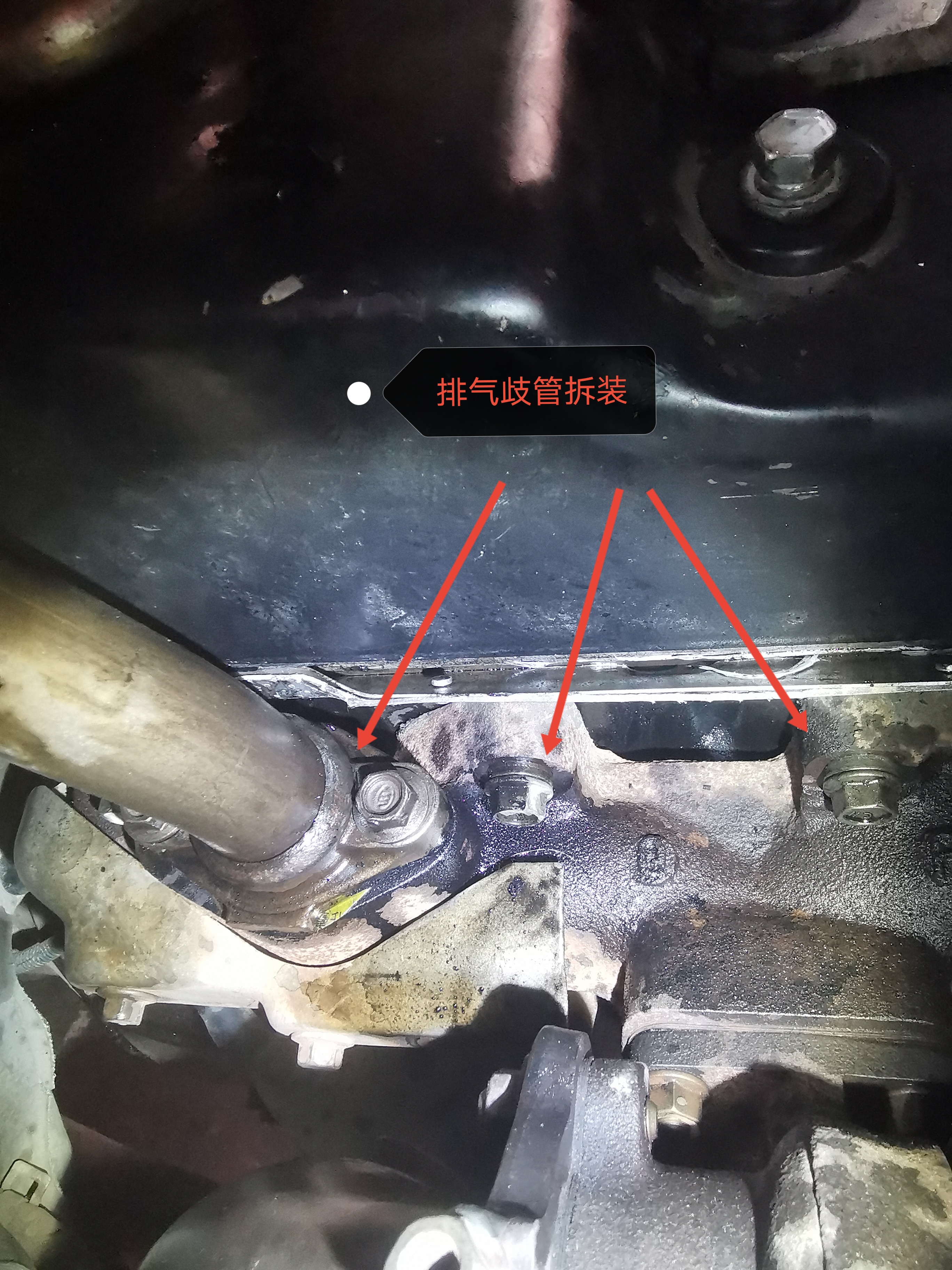 聽說這個地方的二手車便宜！是真的嗎？