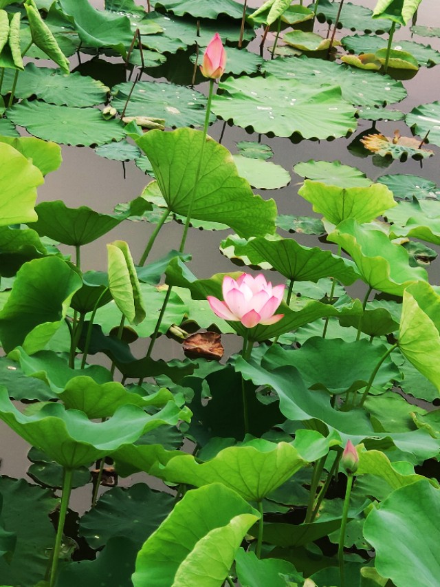 福建师范大学（旗山校区）