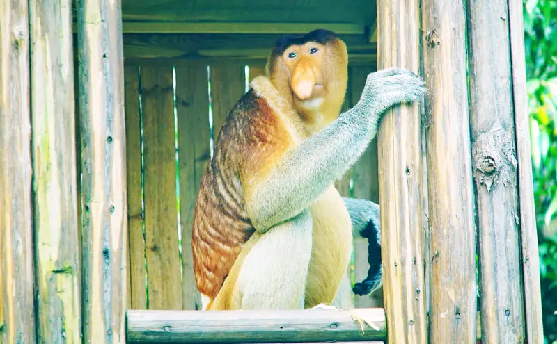 长隆欢乐世界旅游攻略景点必去（三天三夜欢乐长隆之旅）