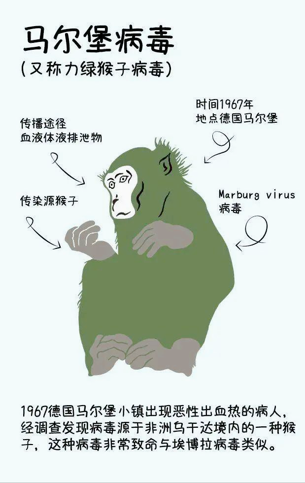 「科普」十大致命病毒，埃博拉只能排第二，第一名曾屠杀上亿人