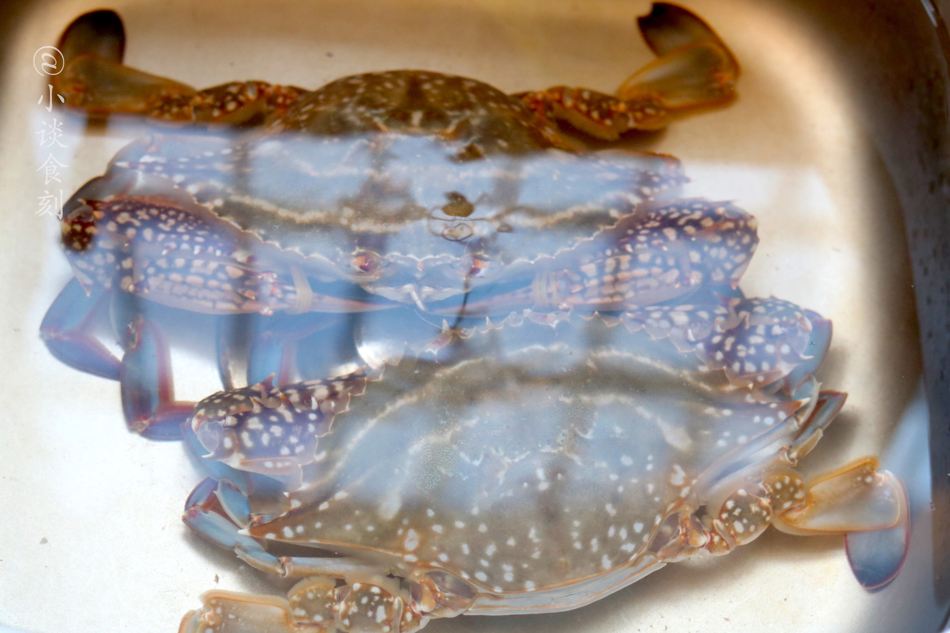 螃蟹别只会蒸煮，教你一剁一煎锅里一焖，比蒸煮的原味螃蟹更好吃