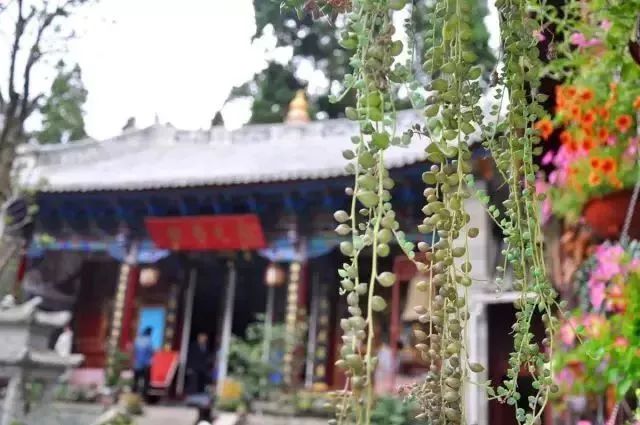 中国最文艺尼姑庵，不烧香只种花，美得想出家！韩红也慕名来参访