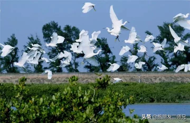 广州出发-广西容县3天游｜醉美中国风，民国小镇，旗袍秀