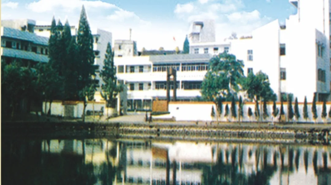 金职，生日快乐