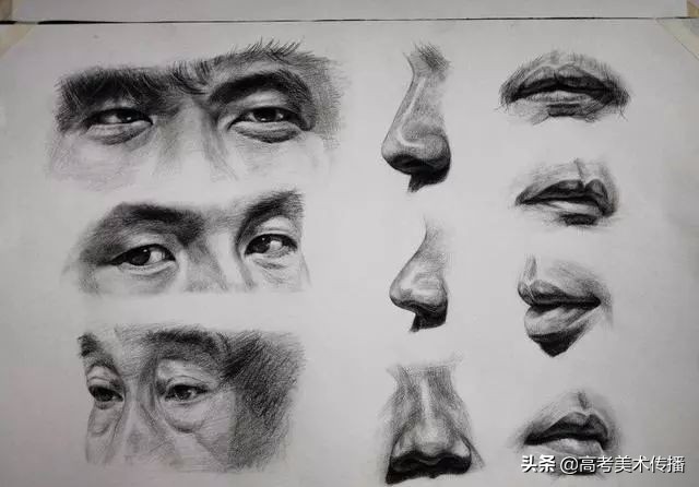 初级入门 I 零基础素描绘画教程